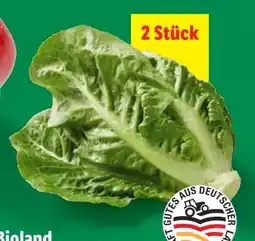 Lidl Mini Romana Angebot