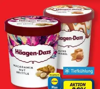 Lidl Häagen Dazs Macadamia Nut Brittle Angebot