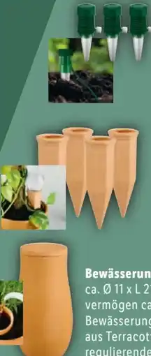 Lidl Parkside Pflanzen-Bewässerungs­sortiment Angebot