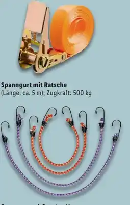 Lidl Ultimate Speed Spanngurtset Angebot
