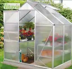 Lidl Vitavia Gewächshausset Alina Angebot