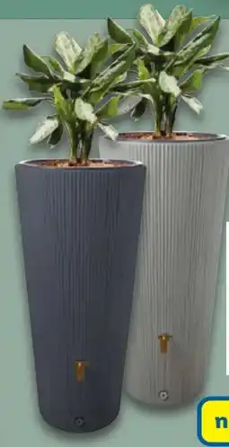 Lidl 4rain Regenspeicher Vaso 2in1 Decor Angebot