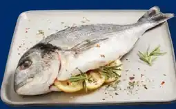 Lidl Fischerstolz Dorade Angebot