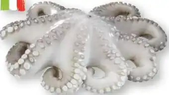 Scheck-in-Center Pulpo-Blume Angebot