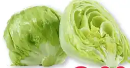 Scheck-in-Center Eisbergsalat Angebot