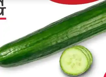 Scheck-in-Center Land-Gurken Angebot