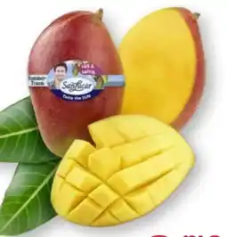 Scheck-in-Center SanLucar Mango Angebot