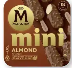 Scheck-in-Center Langnese Magnum Eis Angebot