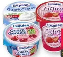 Scheck-in-Center Exquisa Quark Genuss Angebot