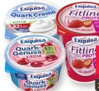 Scheck-in-Center Exquisa Quark Genuss Angebot