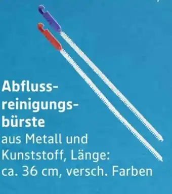 Scheck-in-Center Abflussreinigungsbürste Angebot