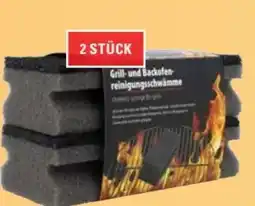 Scheck-in-Center Grill Reinigungsschwamm Angebot