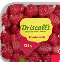 Scheck-in-Center Driscoll's Himbeeren Angebot