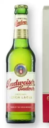 Scheck-in-Center Budweiser Budvar (CZ) Original Czech Lager Bier Angebot