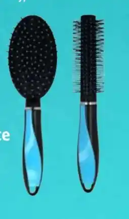 Scheck-in-Center Haarbürste Trend Angebot