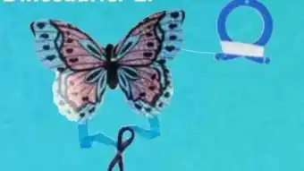 Scheck-in-Center Kite Schmetterling Angebot