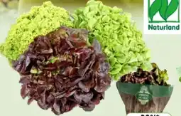 Edeka Unsere Heimat Echt & Gut Bio Bunte Salate Angebot