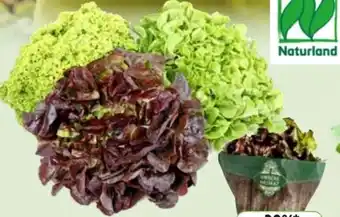 Edeka Unsere Heimat Echt & Gut Bio Bunte Salate Angebot