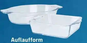 Scheck-in-Center Auflaufform Angebot