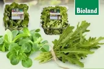 Edeka Unsere Heimat Echt & Gut Bio-Feldsalat Angebot