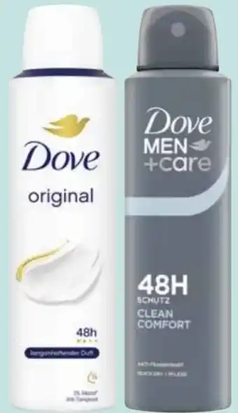 Edeka Dove Deo-Spray Angebot