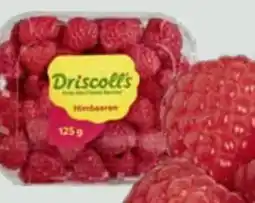 Edeka Driscoll's Himbeeren Angebot