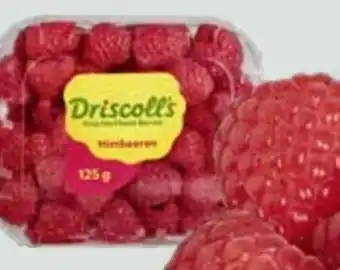 Edeka Driscoll's Himbeeren Angebot
