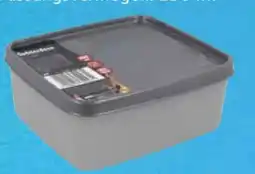 Edeka Gefrierdose Alaska Angebot