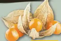 REWE Center Physalis Angebot