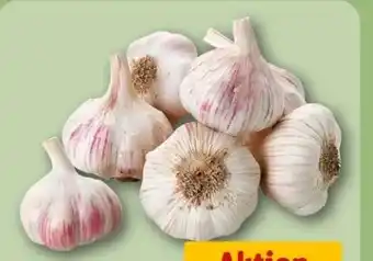 REWE Center Knoblauch Angebot