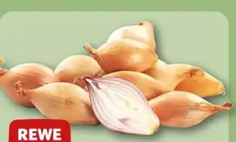 REWE Center Rewe Beste Wahl Schalotten Angebot