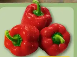 REWE Center Rote Paprika Angebot