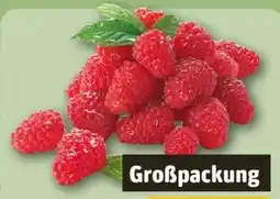 REWE Center Himbeeren Angebot