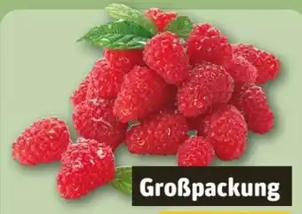REWE Center Himbeeren Angebot