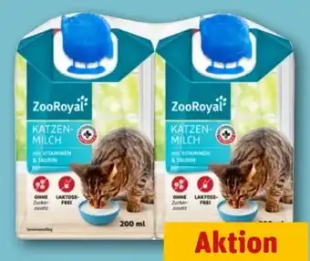 REWE Center ZooRoyal Katzenmilch Angebot