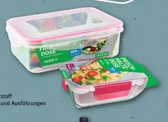 REWE Center Vivess Frischhaltedose Angebot