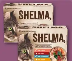 REWE Center Shelma Katzennahrung Angebot