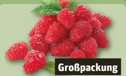 REWE Himbeeren Angebot