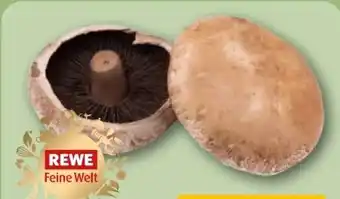 REWE Rewe Feine Welt Portobello Pilze Angebot