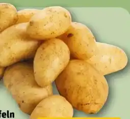 REWE Rewe Beste Wahl Speisekartoffeln Venezia Angebot