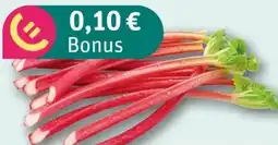 REWE Rhabarber Angebot