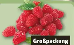 REWE Himbeeren Angebot