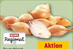 REWE Rewe Regional Schalotten Angebot