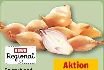 REWE Rewe Regional Schalotten Angebot