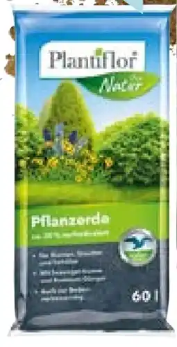Hellweg Plantiflor Pflanzerde Angebot