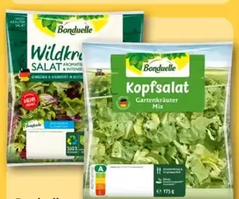 REWE Bonduelle Salatmischung Wildkräutersalat Angebot