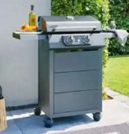 BayWa Rothmann Elektrogrill eSTAR Angebot