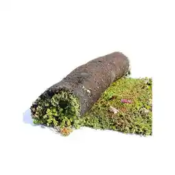 BayWa AboutGreen Gründachsystem Flachdach Angebot