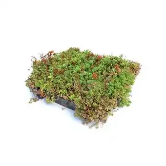 BayWa AboutGreen Gründachsystem Click & Go Angebot