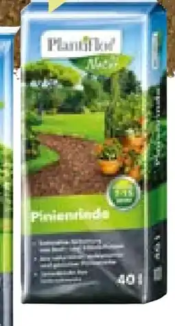BayWa Plantiflor Pinienrinde Angebot